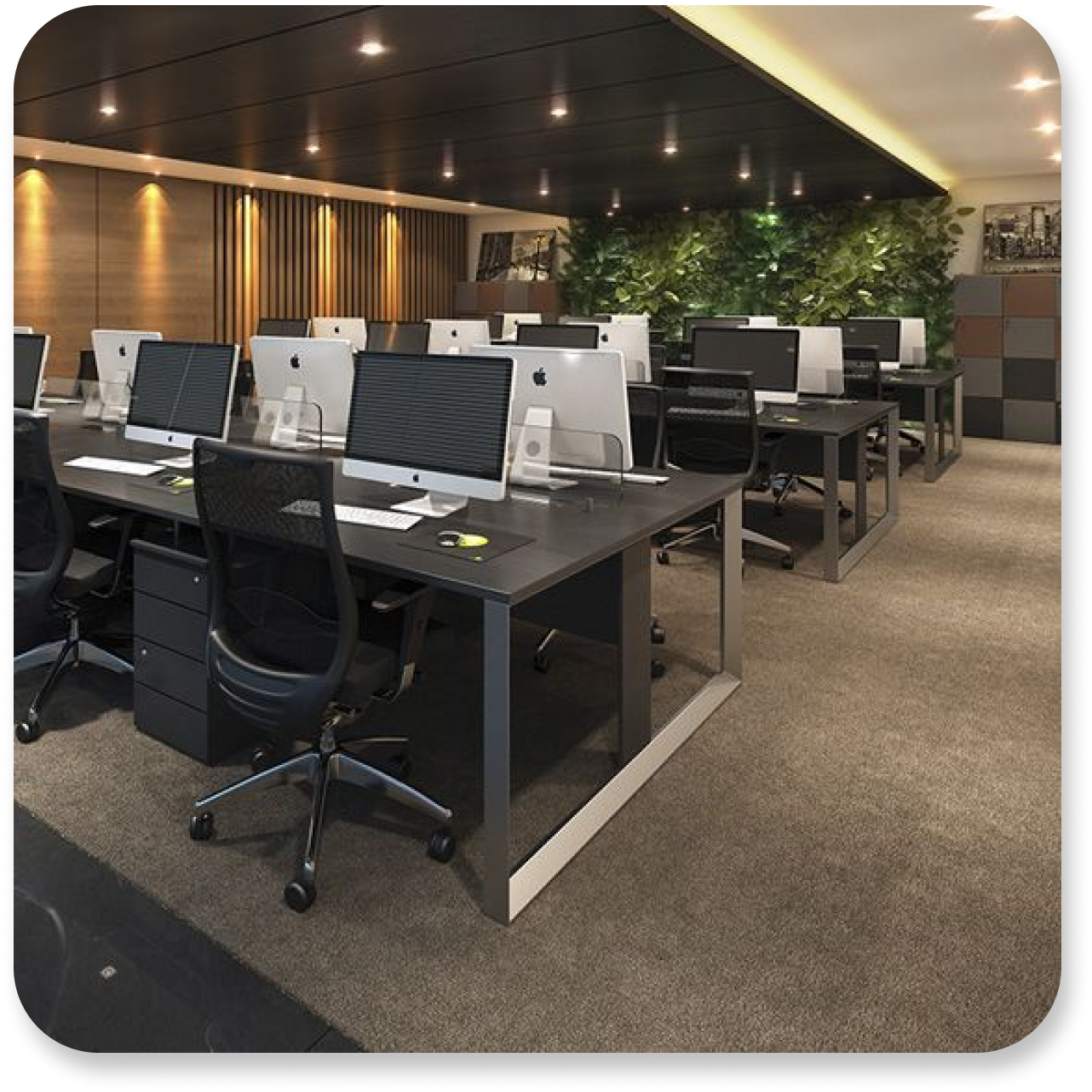 Equipe TecUP trabalhando em estratégias digitais